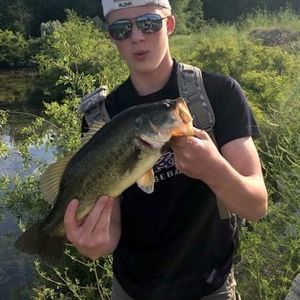 Meet your Posher, Holden